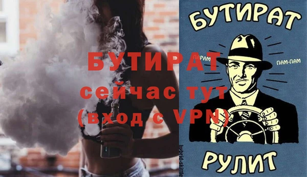 мдпв Краснослободск