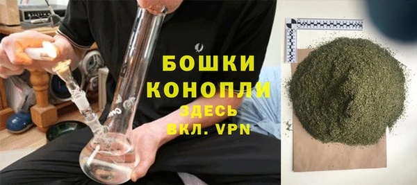 крисы Богородск