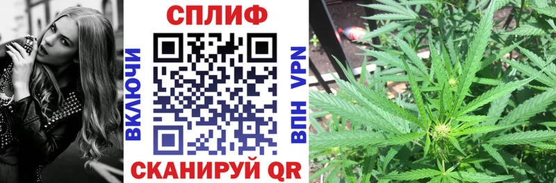Бошки марихуана тримм  OMG ссылки  Пестово  где найти  